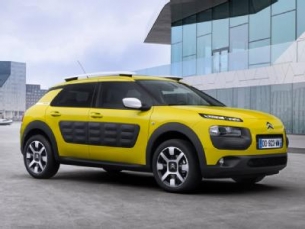 C4 Cactus - crossover 5 p.